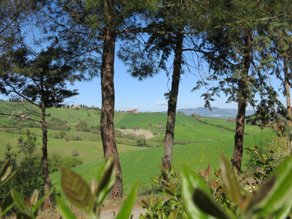 Agriturismo Il Palagetto Pomarance Eksteriør billede