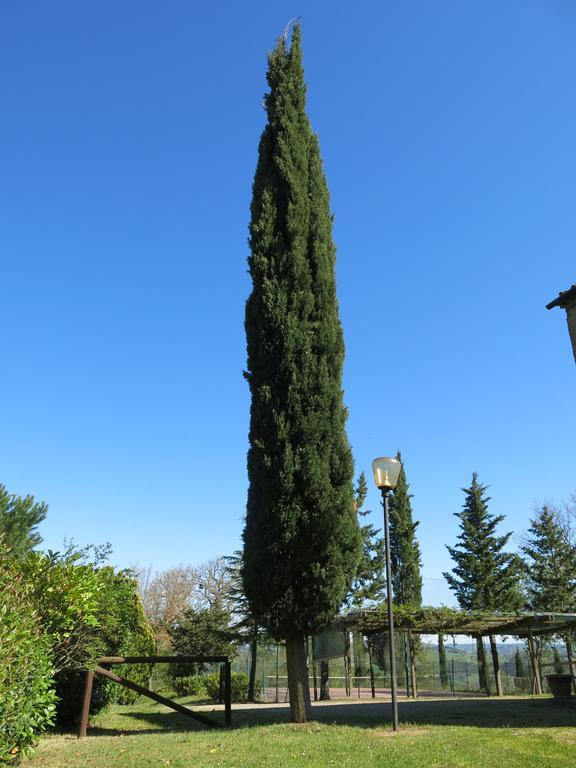 Agriturismo Il Palagetto Pomarance Eksteriør billede