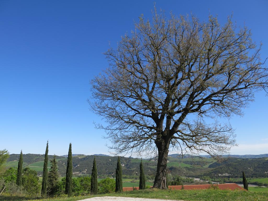 Agriturismo Il Palagetto Pomarance Eksteriør billede